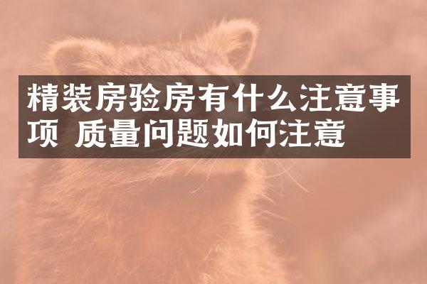 精装房验房有什么注意事项 质量问题如何注意