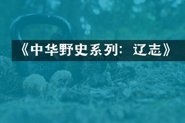 《中华野史系列：辽志》