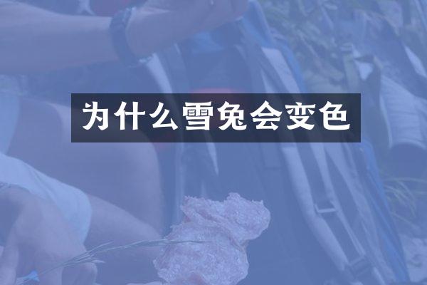 为什么雪兔会变色