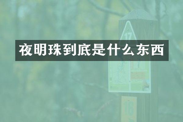 夜明珠到底是什么东西