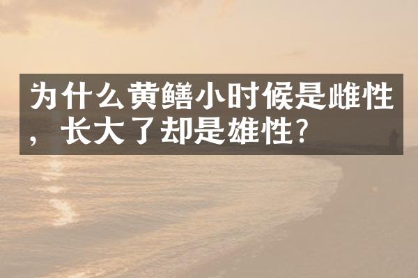 为什么黄鳝小时候是雌性，长大了却是雄性？