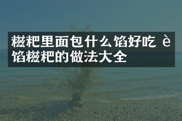 糍粑里面包什么馅好吃 肉馅糍粑的做法大全