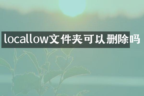 locallow文件夹可以删除吗