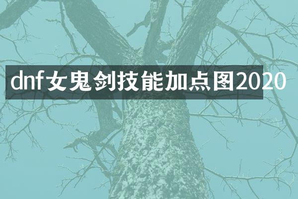 dnf女鬼剑技能加点图2020