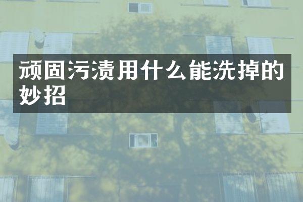 顽固污渍用什么能洗掉的妙招