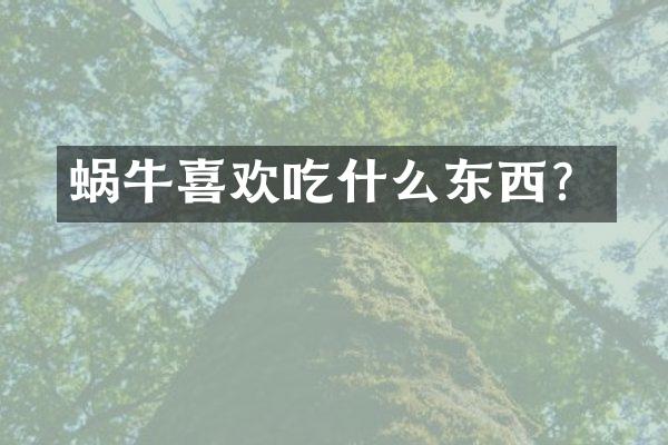 蜗牛喜欢吃什么东西？