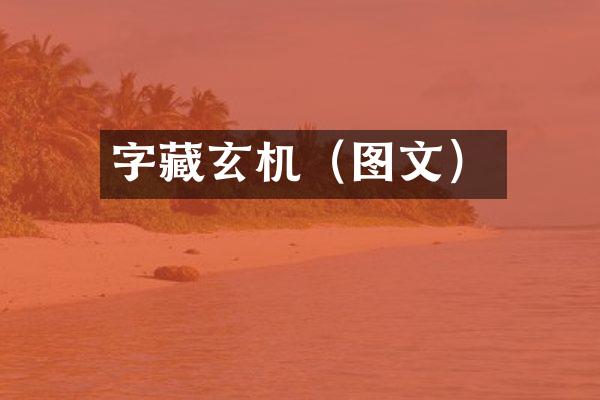 字藏玄机（图文）