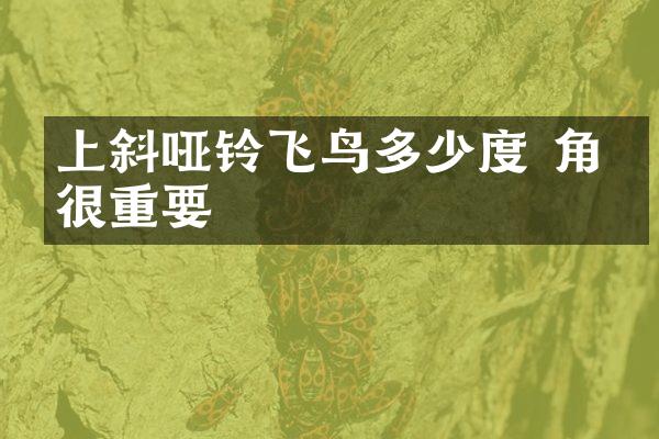 上斜哑铃飞鸟多少度 角度很重要