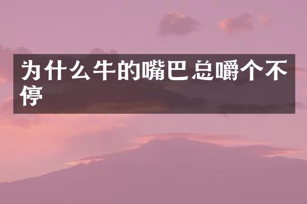 为什么牛的嘴巴总嚼个不停