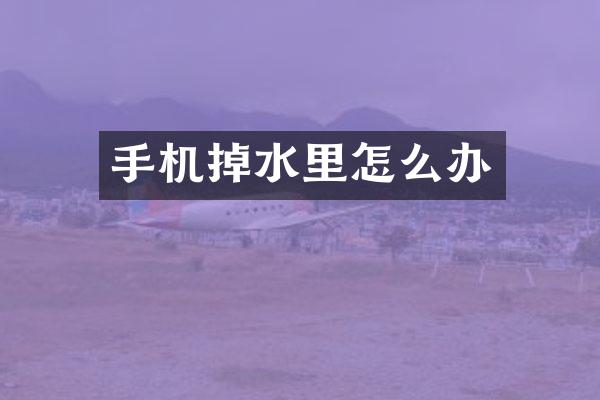 手机掉水里怎么办