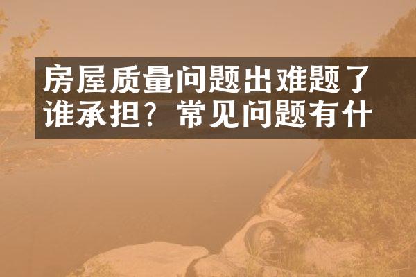 房屋质量问题出現难题了谁承担？常见问题有什么