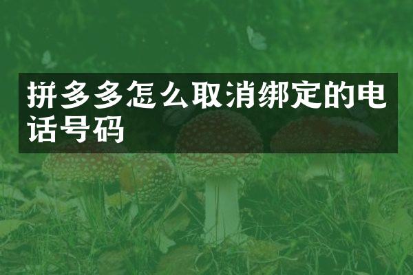 拼多多怎么取消绑定的电话号码