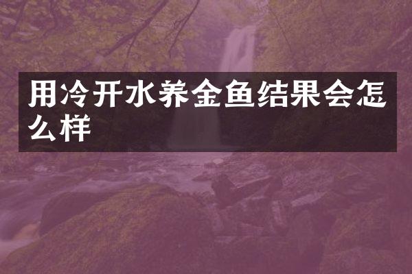 用冷开水养金鱼结果会怎么样