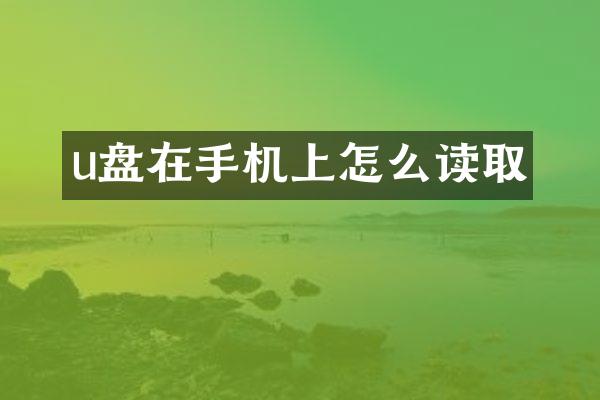 u盘在手机上怎么读取