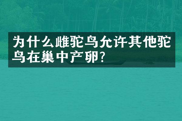 为什么雌驼鸟允许其他驼鸟在巢中产卵?