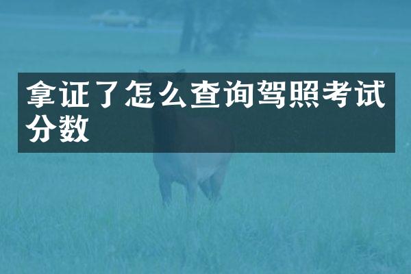 拿证了怎么查询驾照考试分数