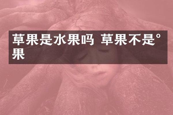 草果是水果吗 草果不是水果
