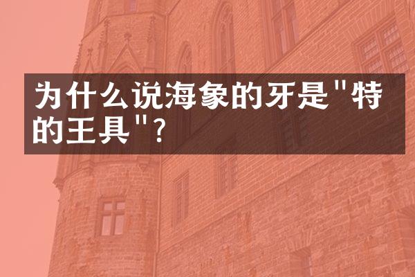 为什么说海象的牙是"特殊的王具"？