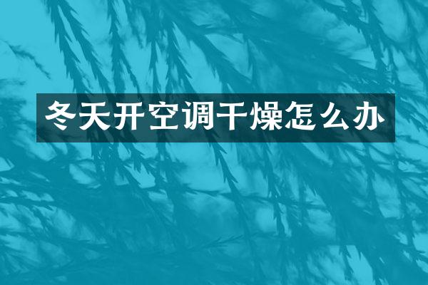 冬天开空调干燥怎么办