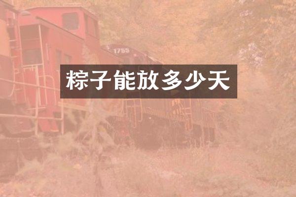 粽子能放多少天