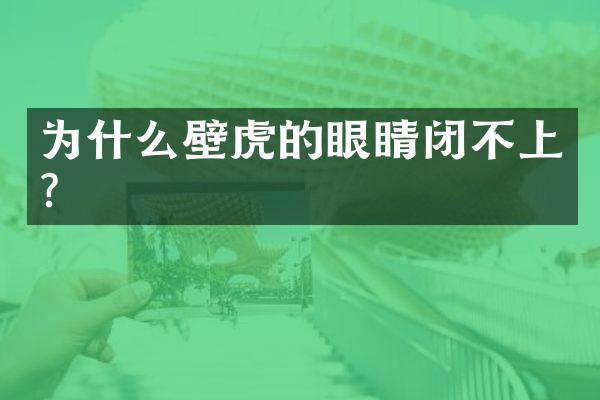 为什么壁虎的眼睛闭不上?