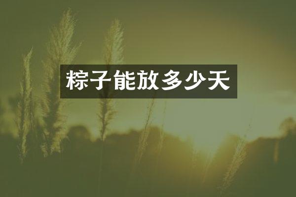 粽子能放多少天