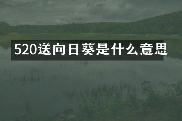 520送向日葵是什么意思