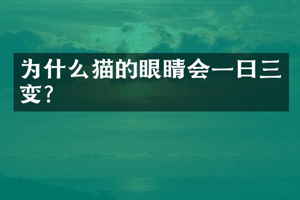 为什么猫的眼睛会一曰三变？