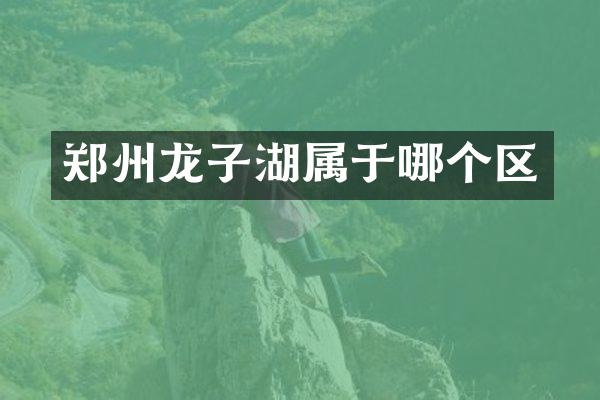 郑州龙子湖属于哪个区
