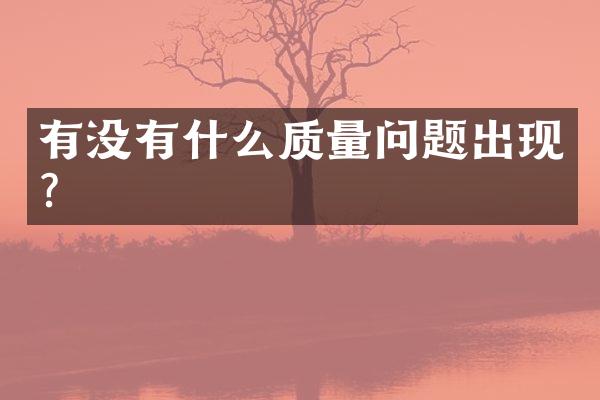 有没有什么质量问题出现？