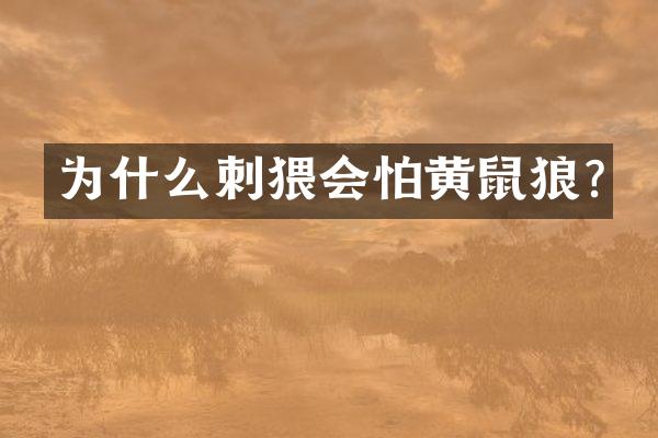 为什么刺猥会怕黄鼠狼?