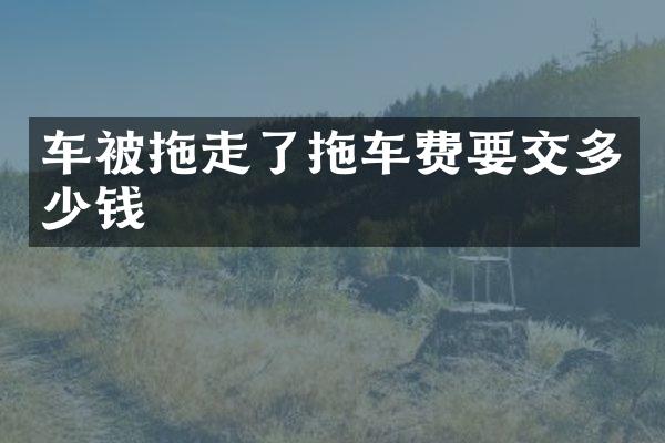 车被拖走了拖车费要交多少钱