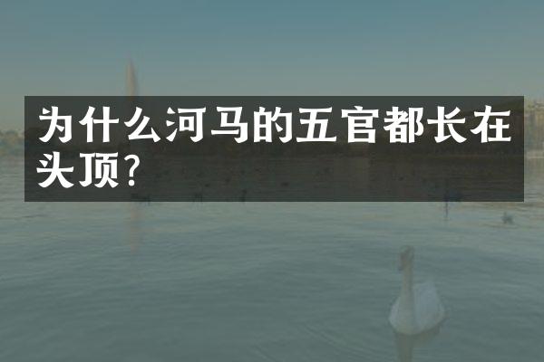 为什么河马的五官都长在头顶？