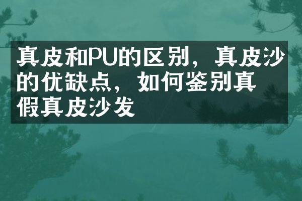真皮和PU的区别，真皮沙发的优缺点，如何鉴别真假真皮沙发