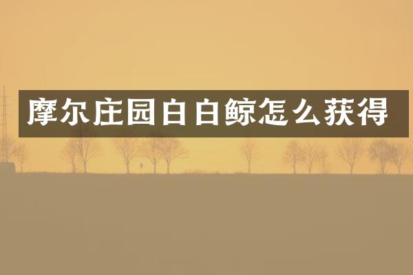摩尔庄园白白鲸怎么获得