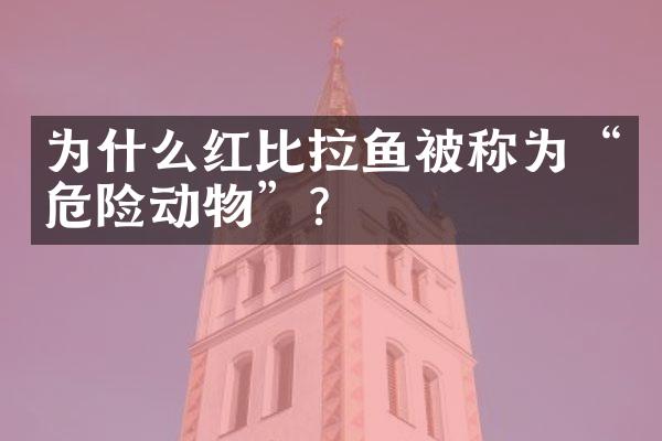 为什么红比拉鱼被称为“危险动物”？