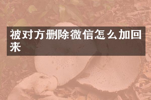 被对方删除微信怎么加回来