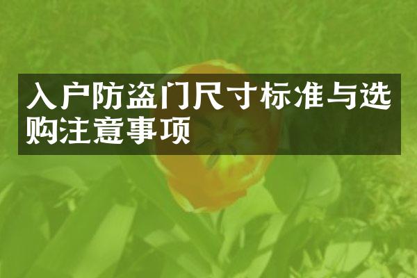 入户防盗门尺寸标准与选购注意事项