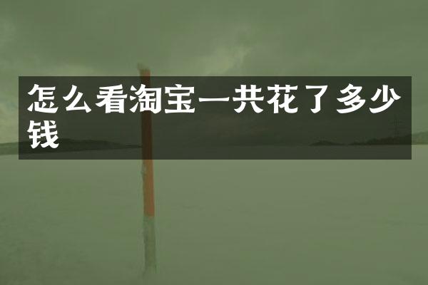怎么看淘宝一共花了多少钱