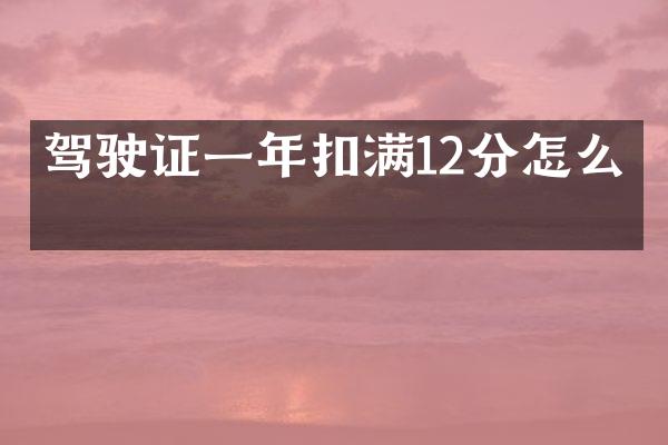 驾驶证一年扣满12分怎么办