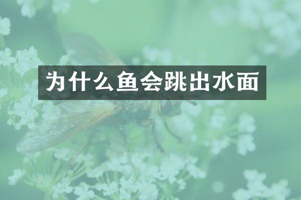 为什么鱼会跳出水面