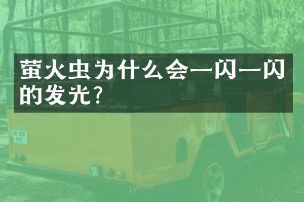 萤火虫为什么会一闪一闪的发光？