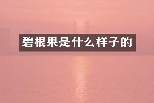 碧根果是什么样子的