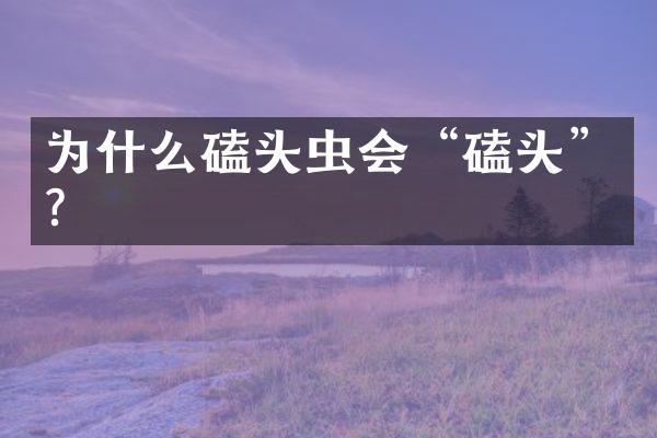为什么磕头虫会“磕头”？