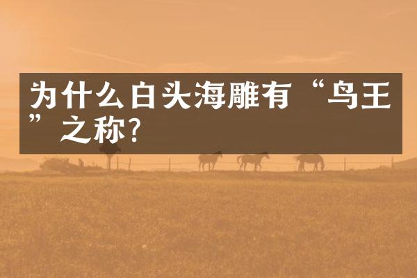 为什么白头海雕有“鸟王”之称？