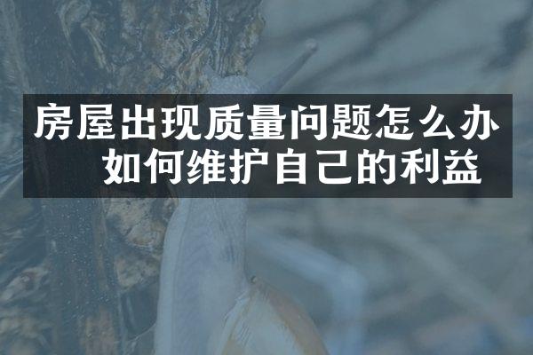 房屋出现质量问题怎么办    如何维护自己的利益