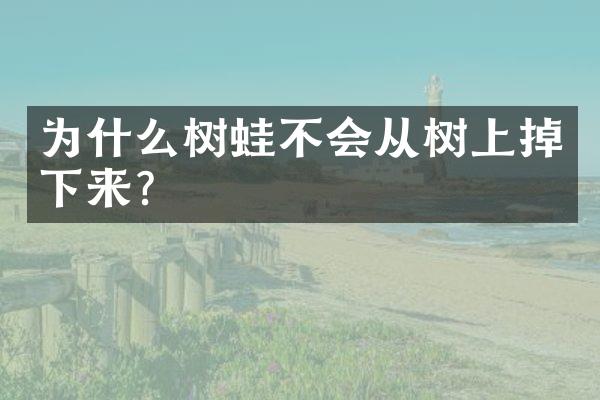 为什么树蛙不会从树上掉下来?