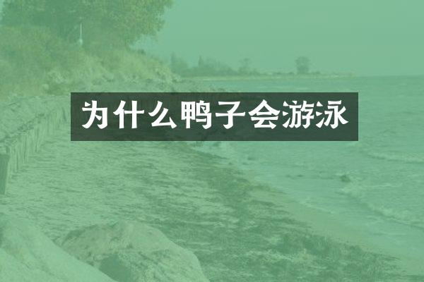 为什么鸭子会游泳
