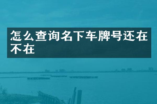 怎么查询名下车牌号还在不在