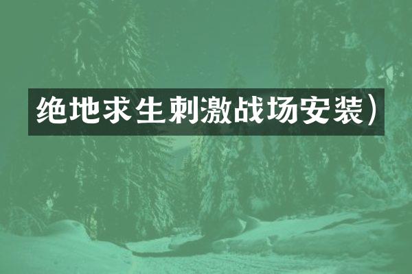 绝地求生刺激战场安装)